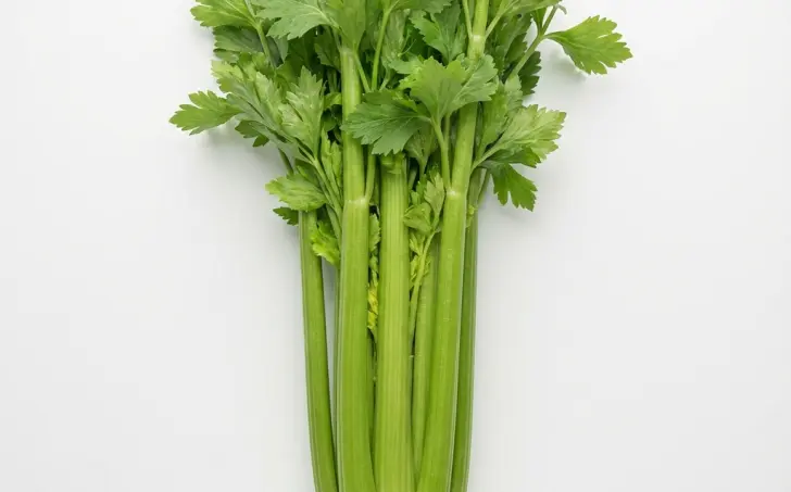Celer řapíkatý