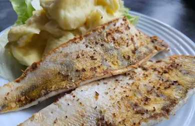 Candát filet s citronovým pepřem