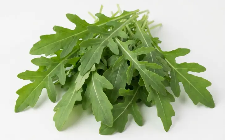 Rukola