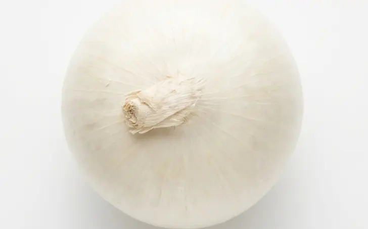 Cibule bílá
