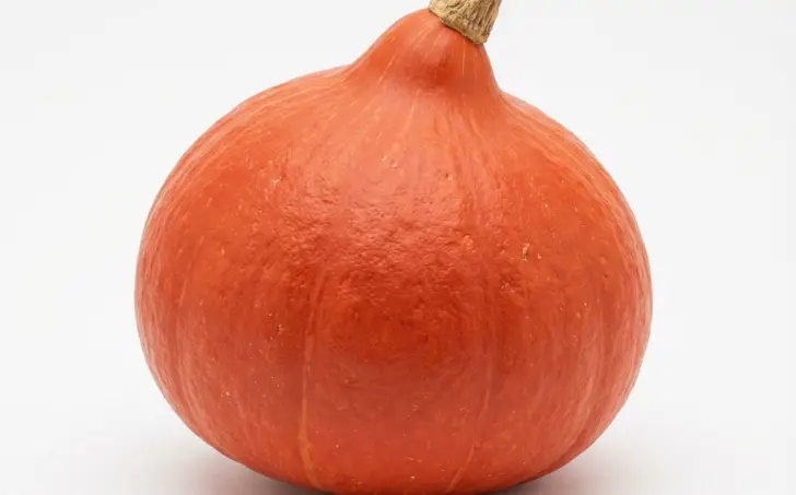 Dýně Hokkaido