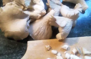 Bravčové plátky na hlive ustricovitej