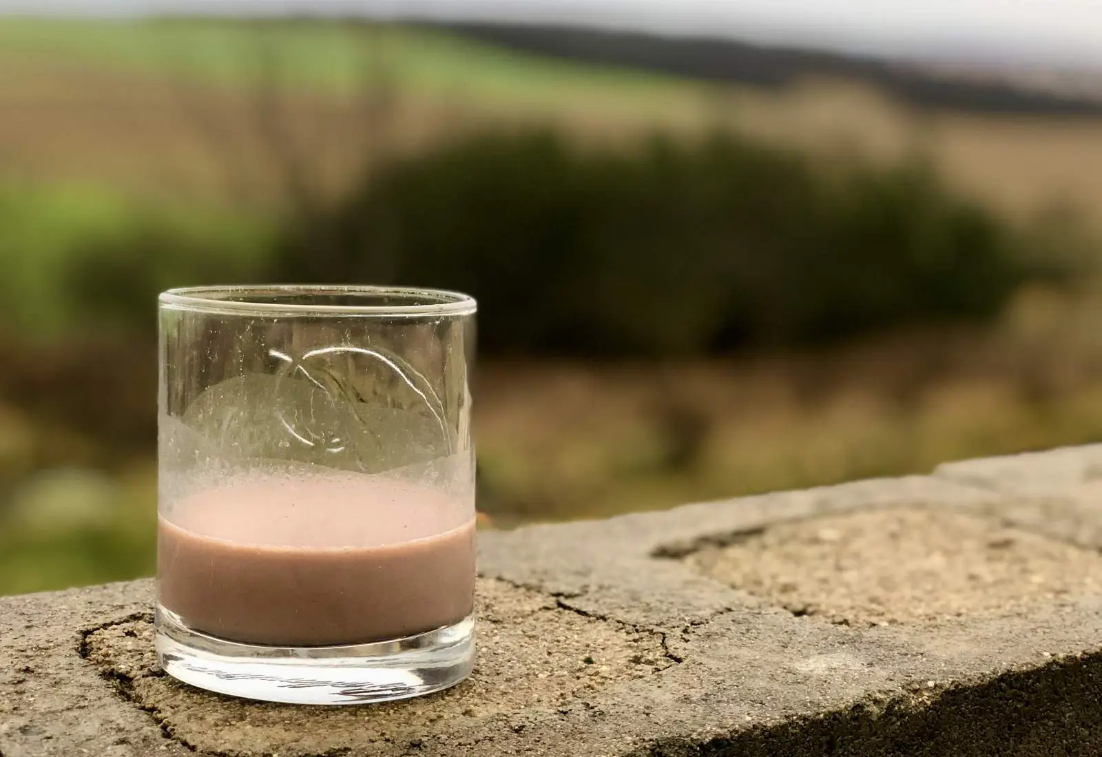 Nealkoholické domácí Baileys