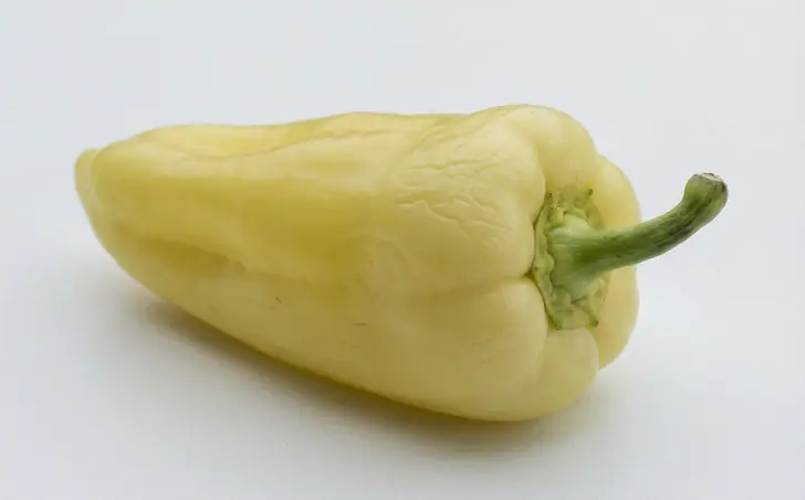 Bílá paprika