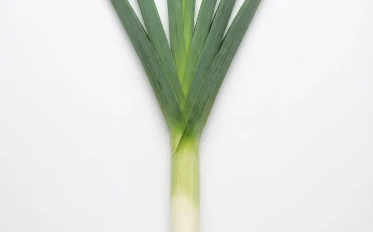 Pórek