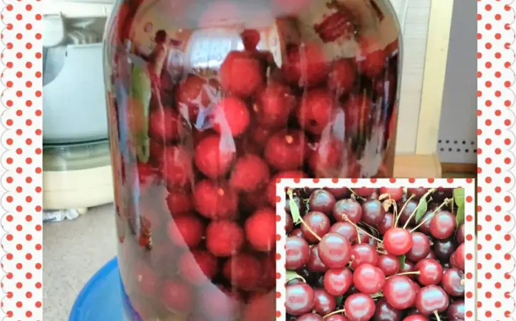 Domáca višňovka