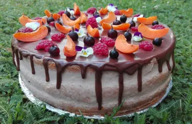 Meruňkový dort s nutellovým krémem
