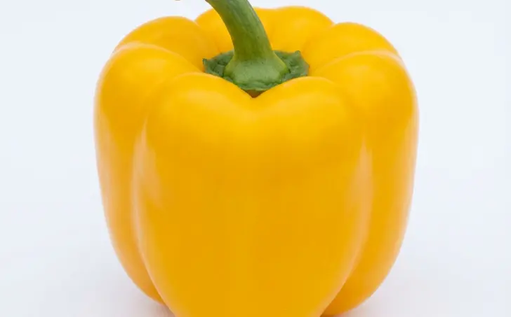 Žlutá paprika