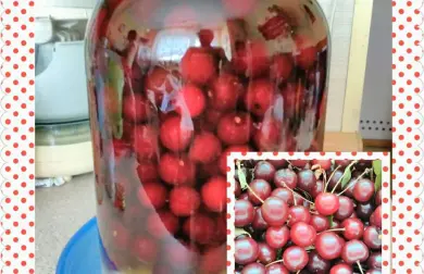Domáca višňovka