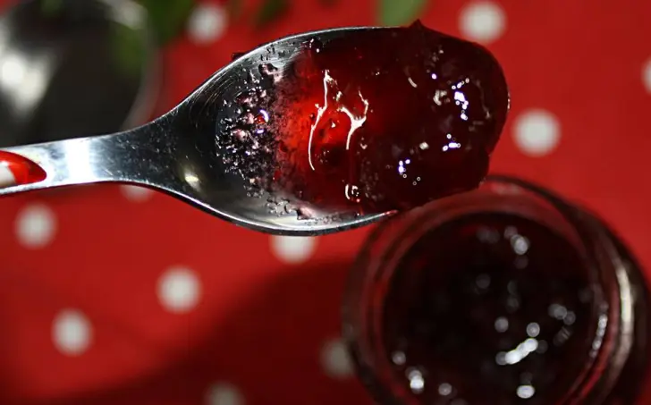 BRUSNICOVÁ MARMELÁDA - nízkosacharidová