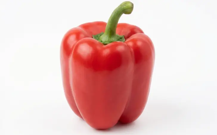 Červená paprika