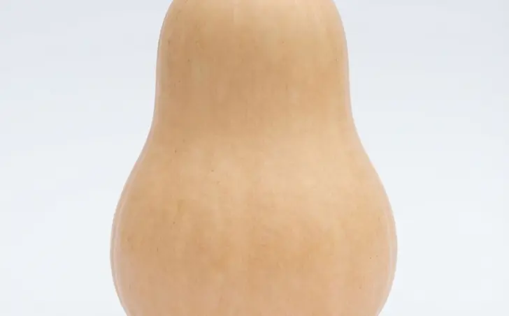 Dýně máslová