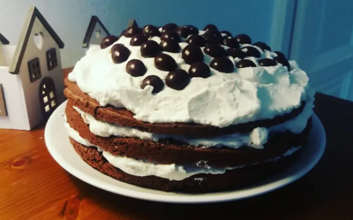 Kakaovo-kokosová torta s domácim lipánkom
